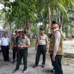 Di Mentawai, Kepala BNPB: Pohon Besar Bisa Tempat Penyelamatan Tsunami