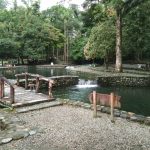 Dempo Anai Land Potong Kerbau Awali Usaha