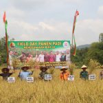 Kodim SSD Panen Padi Bersama Petani Sawahlunto