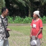 Puluhan Hektare Sawah di Koto Baru Terancam Gagal Panen