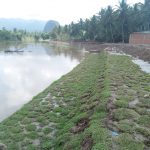 Sungai Batang Sinamar Dinormalisasi, Warga Bersyukur