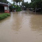 Taram Dilanda Banjir, Ratusan Hektar Sawah Digenangi Air