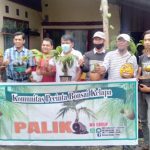 Komunitas Pencinta Bonsai Kelapa Paliko Butuh Sokongan Pemerintah