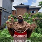 Panen Bawang Hasil Pekarangan, Lurah Kotobaru Payobasung Layak Dicontoh