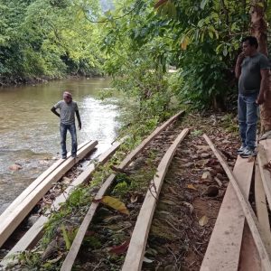 Kasus Ilegal Logging di Kawasan Mandeh, Tunggu Tindak Lanjut KPHL BB