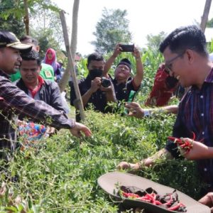 Wagub Audy Ke Payakumbuh, Jemput Aspirasi Petani Bareng Wawako Erwin Yunaz