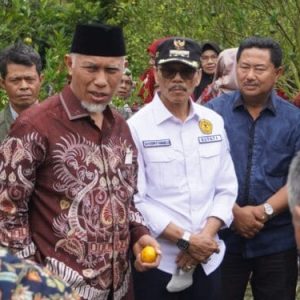 Produksi Jeruk Menurun, Mahyeldi-Safaruddin Turlap