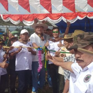 Ketua PORBBI Sumbar Buka Alek Buru Babi Taram