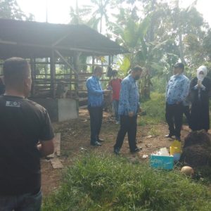 4 Sapi Terjangkit Virus PMK, Ini Yang Dilakukan Pemko Payakumbuh