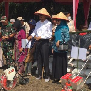 50 Hektar Lahan Tidur Disulap Bupati Safaruddin