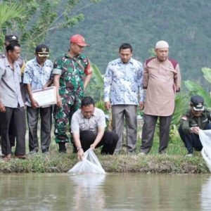 38.000 Benih Ikan Dilepas Bupati Safaruddin Di Balai Panjang