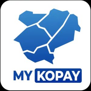 Aplikasi Mykopay Jadi Kado Terakhir Diskominfo Buat Riza Falepi Di Akhir Masa Jabatan