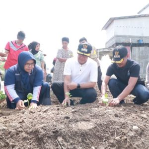 Tekan Inflasi, Wako Rida Ananda Gotong Royong Tanam Cabe Sayur Dan Buah Bersama Warga Koto Panjang Padang Latina
