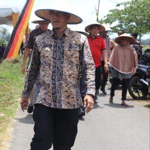 Tekan Inflasi, Pemko Payakumbuh Siapkan 35.000 Bibit Cabe Siap Tanam, Minggu Pertama November Didistribusikan