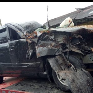 Pohon Tumbang Di Payakumbuh, Timpa 1 Mobil Berisi 9 Penumpang