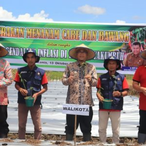Tekan Inflasi, Wako Rida Ananda Resmikan Gerakan Menanam Cabe Dan Bawang Di Padang Alai Bodi