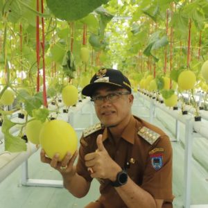 Wako Rida Ananda Apresiasi Kisai Agro Sebagai Salahsatu Destinasi Agrowisata Terbaik Di Payakumbuh