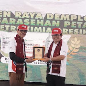 Bersama Dirut PT. Petrokimia Gresik,Bupati Gelar Panen Raya Demplot Phosgreen dan Za Plus Komoditi Padi Nagari Sarilamak