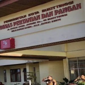 Dinas Pertanian dan Pangan Kota Bukittinggi Mewaspadai Cuaca Ekstrim bagi Petani Dalam Pengolahan Lahan Pertanian