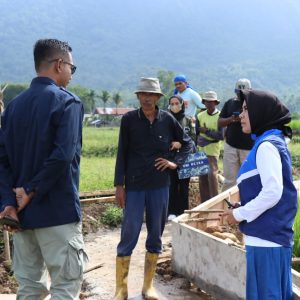 Rezka Oktoberia Tinjau Pembangunan 8 Titik Irigasi di Limapuluh Kota Termasuk Irigasi Sungai Ipuah Nagari Sitanang