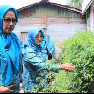 Ketua TP PKK Kota Payakumbuh Ny. Lasta Jasman Kunjungi 5 kelompok Dasa Wisma