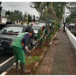 DLH Kota Bukittinggi Tanam Berbagai Jenis Bunga untuk Memperindah Kota