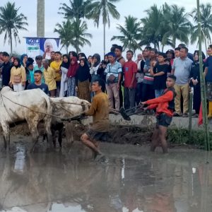Rezka Oktoberia Hadiri dan Support Pacu Jawi Alek Anak Nagari Koto Nan Gadang