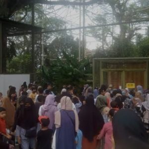 PAD Kota Bukittinggi Mencapai 2.2 Miliar Lebih Saat Selama Liburan Lebaran 2024