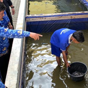Kalapas Tanjung Pati Pimpin Pemindahan Bibit Lele Dukung Program Ketahanan Pangan Nasional.